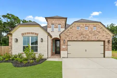 New construction Single-Family house 2140 Golden Spruce Ln, Conroe, TX 77301 - image