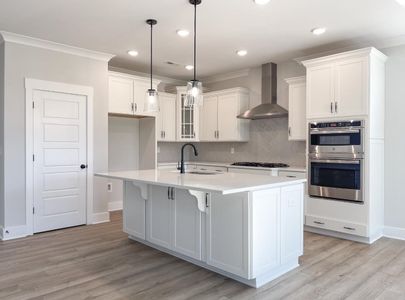 New construction Single-Family house 1720 Constitution Ln, Moore, SC 29369 plan Raleigh - image 5