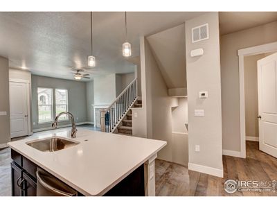 New construction Townhouse house 6233 Vernazza Wy, Unit 3, Windsor, CO 80550 plan Carolina - image 14