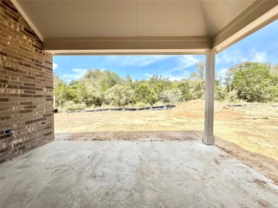 New construction Single-Family house 558 Tubman Dr, Kyle, TX 78640 plan Premier Series - Palm - image