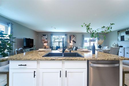 New construction Single-Family house 10826 Trailing Vine Dr, Tampa, FL 33610 null- photo 20 20