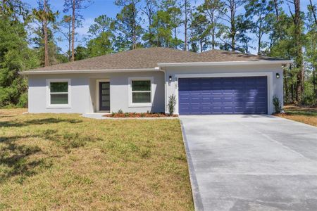 New construction Single-Family house 8760 N Vince Dr, Dunnellon, FL 34434 - image