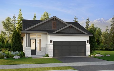 New construction Single-Family house 1430 Blushing Aster, San Marcos, TX 78666 plan Loyola - image
