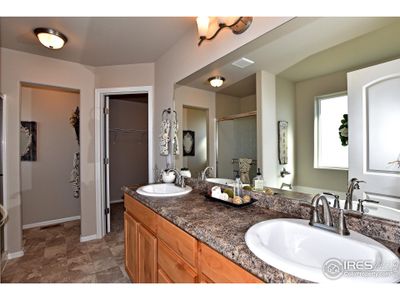 New construction Single-Family house 406 Aurelia Dr, Windsor, CO 80550 null- photo 17 17