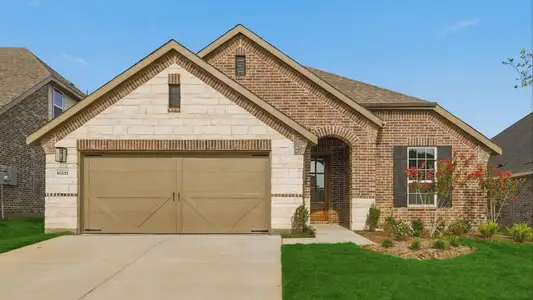 New construction Single-Family house 16521 Japanese Maple Dr, Justin, TX 76247 plan Palm - image