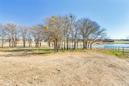 New construction Single-Family house 2044 Downslope Ln, Weatherford, TX 76087 null- photo 23 23