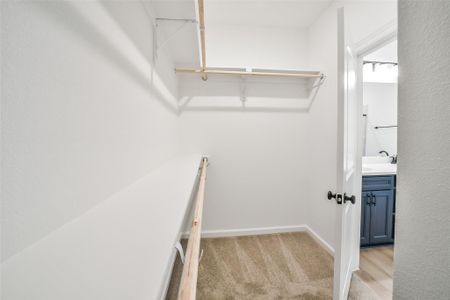 New construction Single-Family house 12975 Daniel Springs Ln, Magnolia, TX 77354 plan Rutherford III T - image 14