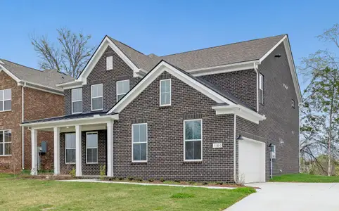 New construction Single-Family house 1180 Sydney Ter, Mount Juliet, TN 37122 plan Continental - image
