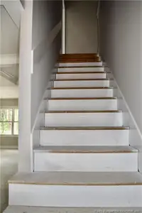 New construction Single-Family house 16040 Cardinal Ct, Wagram, NC 28396 - image