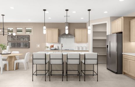 New construction Single-Family house 3855 N Sun City Blvd, Florence, AZ 85132 plan Hideaway - image 13