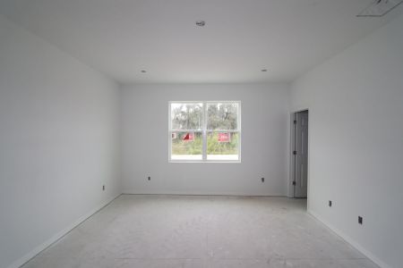 New construction Single-Family house 5050 Bromeliad Ave, Wimauma, FL 33598 Barcello Bonus- photo 68 68