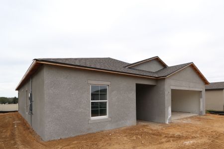 New construction Single-Family house 12263 Hilltop Farms Dr, Dade City, FL 33525 Sentinel- photo 61 61