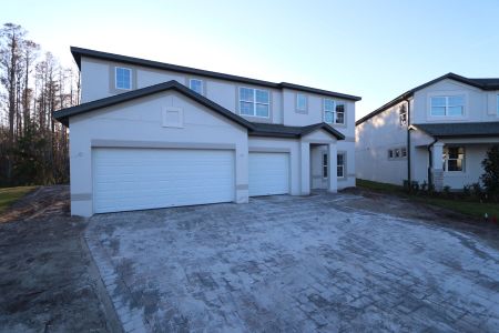 New construction Single-Family house 20125 Oriana Loop, Land O' Lakes, FL 34638 Santina II- photo 113 113