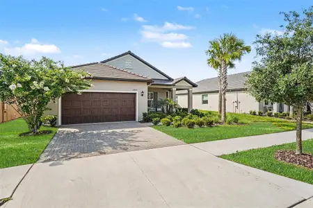 New construction Single-Family house 10514 Banyan Breeze Blvd, Land O' Lakes, FL 34638 - image