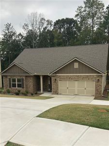 New construction Single-Family house 336 Reins Ct, Bremen, GA 30110 2604- photo 0