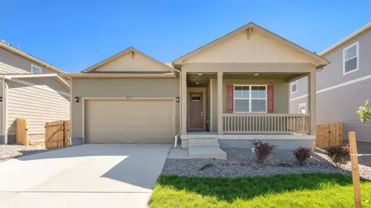 New construction Single-Family house 919 London Wy, Severance, CO 80550 plan Newcastle - image