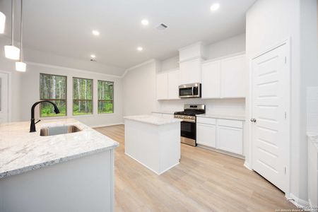 New construction Single-Family house 21149 Jordans Ranch Wy, San Antonio, TX 78264 Arlington- photo 9 9