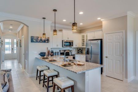 Bella Rosa by GHO Homes in Vero Beach - photo 20 20