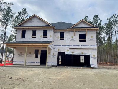 New construction Single-Family house 44 Horse Trot Ln, Sanford, NC 27332 Wayfare- photo 3 3