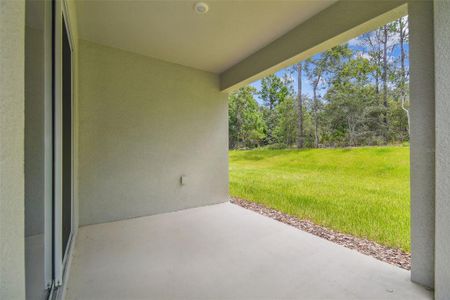 New construction Single-Family house 11347 Striped Bass Ct, New Port Richey, FL 34654 plan Pompei - image 3