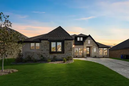 New construction Single-Family house 131 Red Cedar Ct, Balch Springs, TX 75181 plan Rockcress - image
