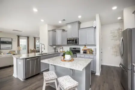 New construction Single-Family house 348 Camellia Bloom Dr, Moncks Corner, SC 29461 - image
