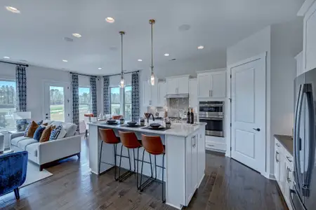 New construction Single-Family house 3010 River Falls Dr, Tega Cay, SC 29708 plan Laney - image 5