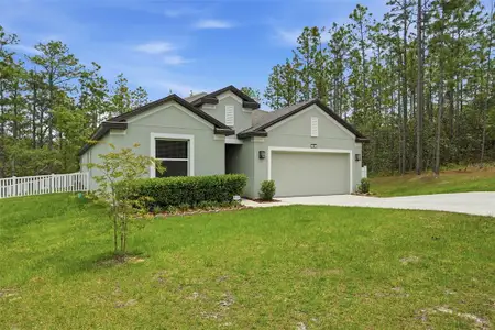 New construction Single-Family house 39 Milbark Dr, Homosassa, FL 34446 - image