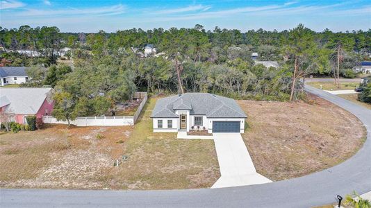 New construction Single-Family house 2831 Sw 166Th Ln, Ocala, FL 34473 null- photo 28 28