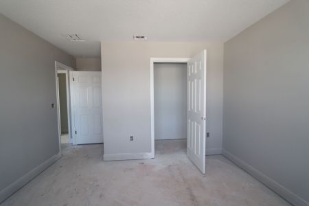 New construction Single-Family house 31236 Denham Ridge Ln, Wesley Chapel, FL 33545 Santa Monica- photo 71 71