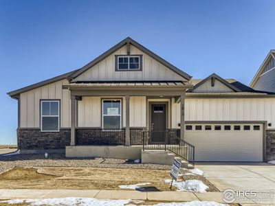 New construction Single-Family house 1815 Windfall Dr, Windsor, CO 80550 Plan C502- photo 0 0