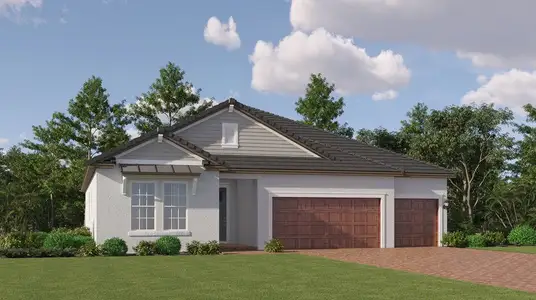 New construction Single-Family house 9156 Minnow Ray Dr, Land O' Lakes, FL 34638 plan Daybreak II - image
