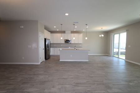 New construction Single-Family house 4774 Beachrose Way, Lakeland, FL 33811 Barcello Bonus- photo 75 75