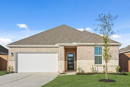 New construction Single-Family house 118 Water Grass Trl, Clute, TX 77531 plan Davis - image