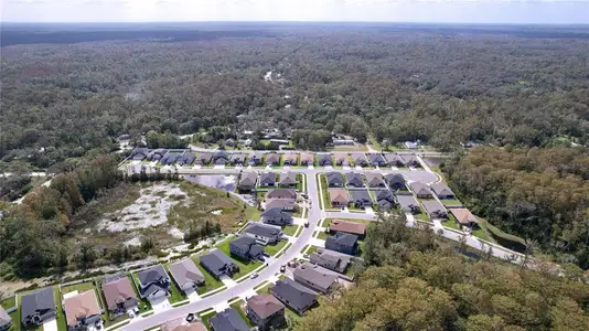 Rose Haven by Vitale Homes in New Port Richey - photo 0