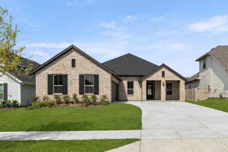 New construction Single-Family house 3904 Mescalbean Dr, McKinney, TX 75071 plan Cameron - image