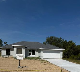New construction Single-Family house 2261 Sw 168 Pl, Ocala, FL 34473 - image