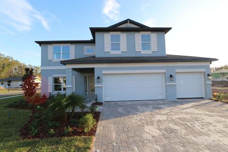 New construction Single-Family house 20288 Oriana Loop, Land O' Lakes, FL 34638 Coronado II- photo 81 81