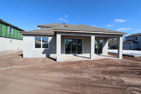 New construction Single-Family house 20264 Oriana Loop, Land O' Lakes, FL 34638 Santa Monica- photo 99 99