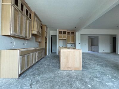 New construction Single-Family house 105 Prairie Wolf, Godley, TX 76044 plan The McKinney - image