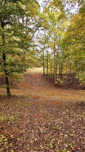 New construction Single-Family house 1 Snote Jones Rd, Dallas, GA 30132 - image