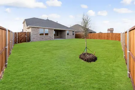 New construction Single-Family house 1602 Glacier Dr, Forney, TX 75126 plan Martin - image