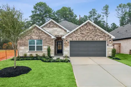 New construction Single-Family house 2219 Lone Bronco Blvd, Rosenberg, TX 77471 plan Pizarro - image