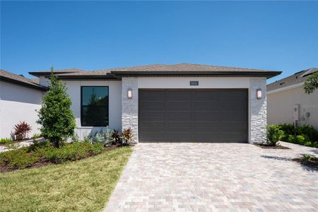 New construction Single-Family house Apollo Beach, FL 33572 - image