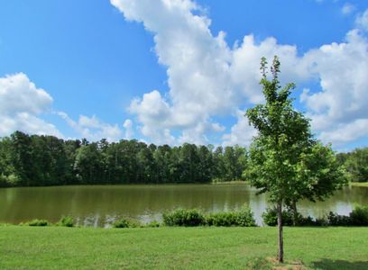 New construction Single-Family house 80 Harmony Way, Youngsville, NC 27596 null- photo 80 80