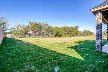 New construction Single-Family house 1005 Alconberry Drive, Crowley, TX 76036 - photo 11 11