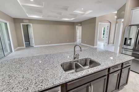 New construction Single-Family house 51 E Diamond Dr, Palm Coast, FL 32164 null- photo 9 9