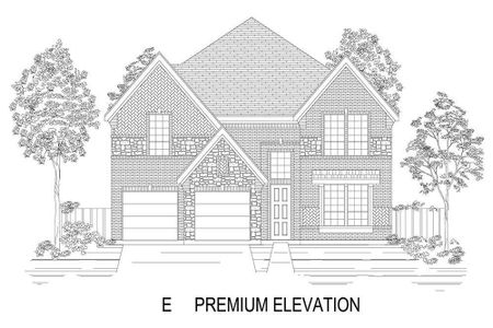 Elevation E