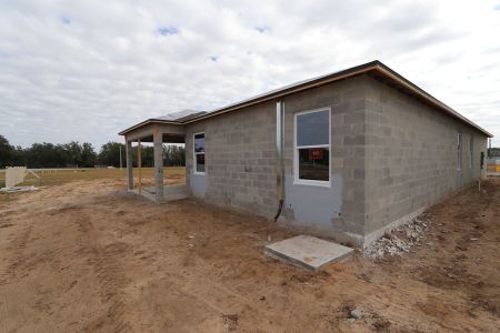 New construction Single-Family house 38413 Tobiano Loop, Dade City, FL 33525 Picasso- photo 25 25