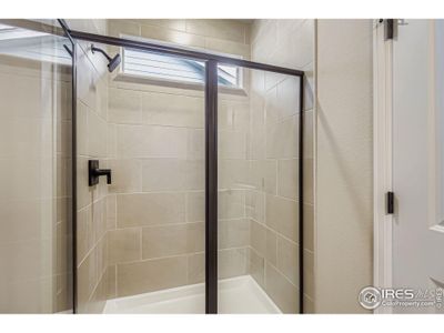 New construction Single-Family house 1821 Cord Grass Dr Ft, Fort Collins, CO 80524 - image 19